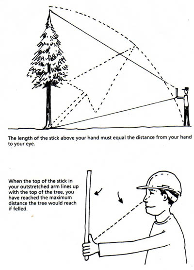 estimate tree height